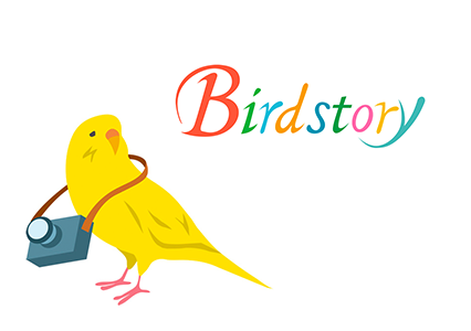 Birdstory